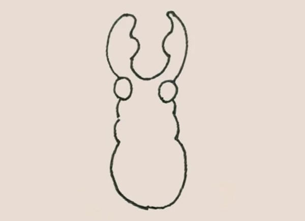 涂色的甲壳虫简笔画步骤