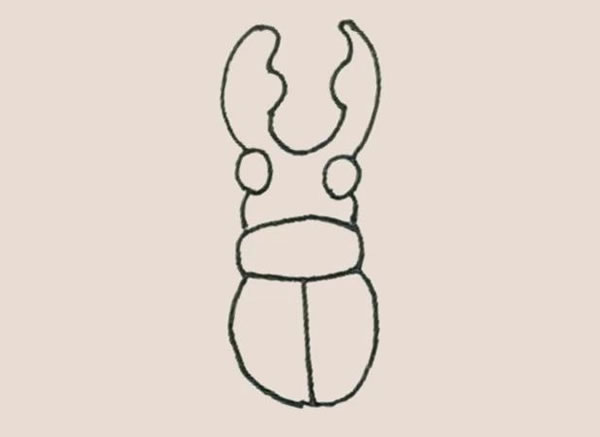 涂色的甲壳虫简笔画步骤