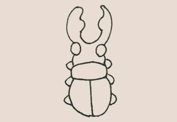 涂色的甲壳虫简笔画步骤