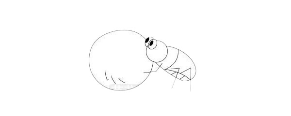 一组屎壳郎简笔画图片大全