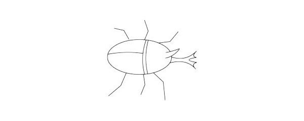 一组屎壳郎简笔画图片大全