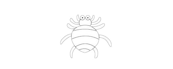 一组蜘蛛简笔画图片大全