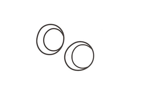 蟋蟀怎么画可爱又简单(蟋蟀怎么画可爱又好看)