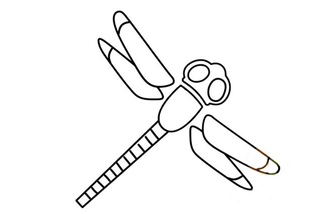 彩色的蜻蜓简笔画(彩色的蜻蜓简笔画图片大全)