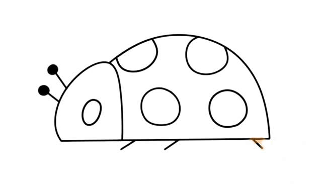 彩色的瓢虫简笔画(彩色的瓢虫简笔画怎么画)