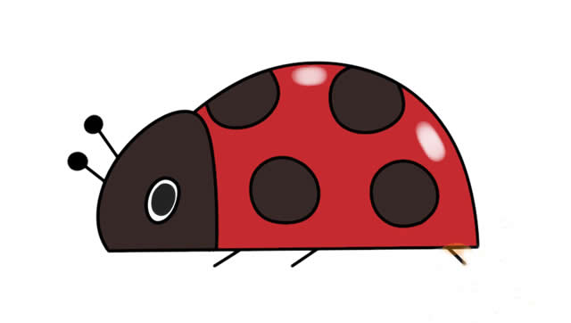 彩色的瓢虫简笔画