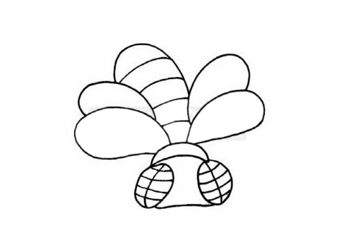 苍蝇简笔画步骤图解