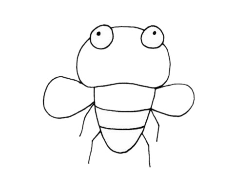 一组苍蝇简笔画图片大全