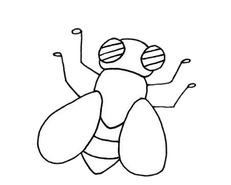 一组苍蝇简笔画图片大全