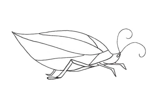 一组草蜢简笔画图片大全