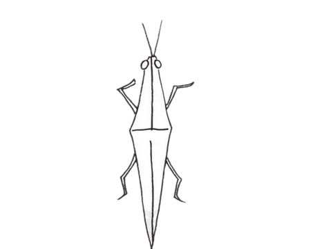 一组草蜢简笔画图片大全