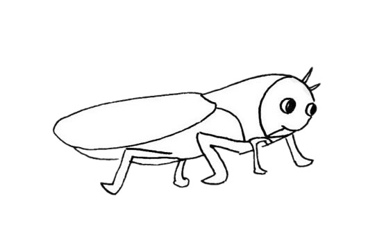 一组草蜢简笔画图片大全