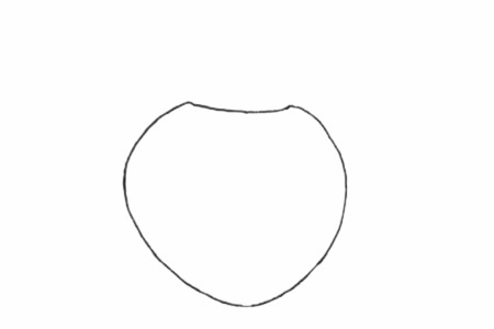 甲虫简笔画步骤图解(甲虫简笔画大全带颜色)