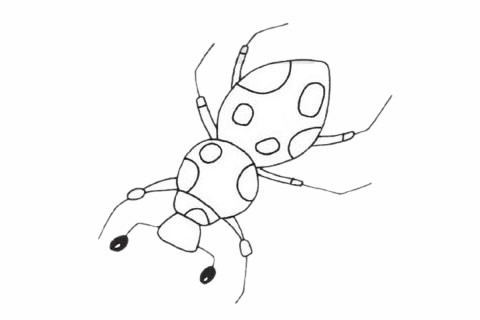 一组甲虫简笔画图片大全