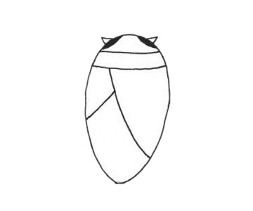 简单的蟋蟀儿童画