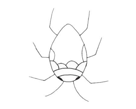 一组关于蟋蟀的简笔画