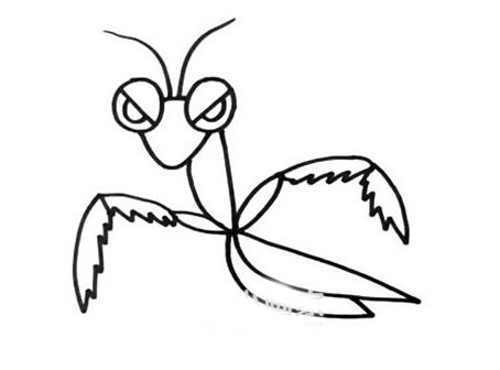 彩色卡通螳螂简笔画