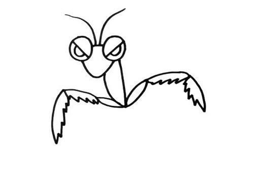 彩色卡通螳螂简笔画