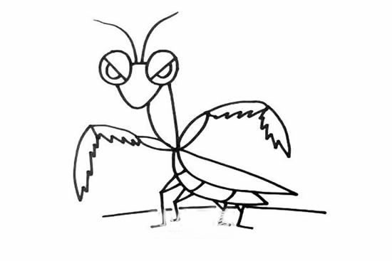 彩色卡通螳螂简笔画