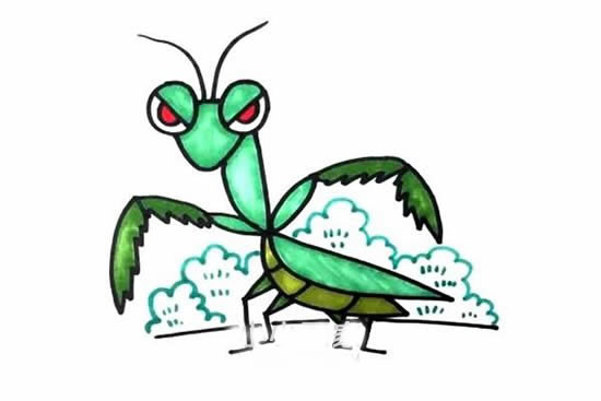 彩色卡通螳螂简笔画