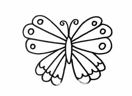 绚丽的蝴蝶简笔画