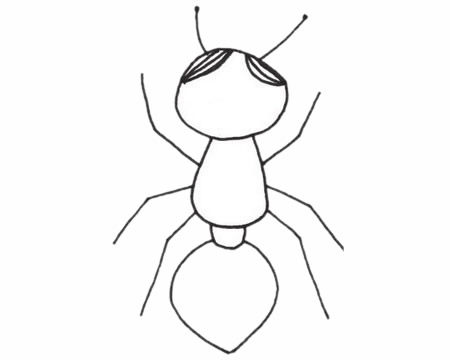 一组蚂蚁简笔画图片大全 一组蚂蚁简笔画图片大全