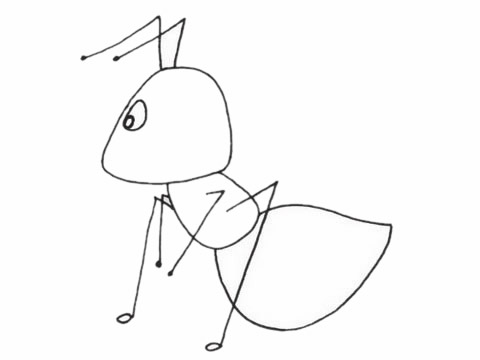 一组蚂蚁简笔画图片大全 一组蚂蚁简笔画图片大全