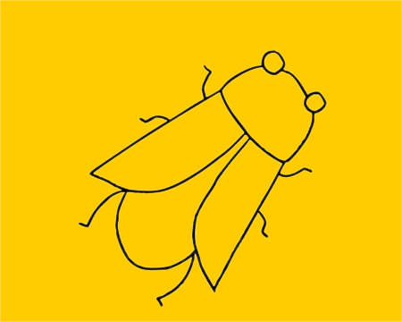 一组关于蝉的简笔画大全