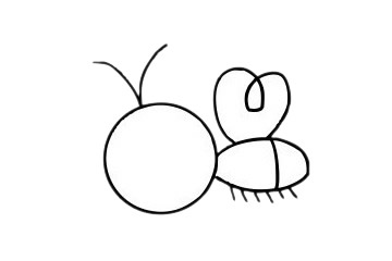 萤火虫简笔画步骤