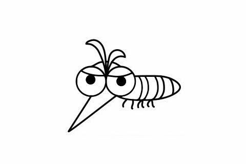 尖嘴蚊子简笔画步骤