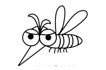 尖嘴蚊子简笔画步骤