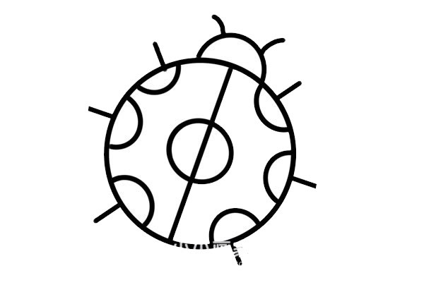 几个圈就能画出七星瓢虫