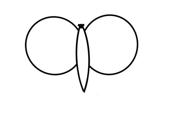 花枝招展的蝴蝶简笔画