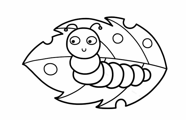 树叶上可爱的毛毛虫简笔画