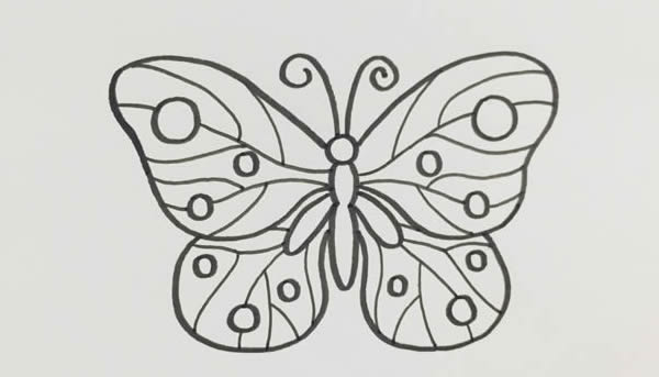 简单漂亮的蝴蝶画法教程