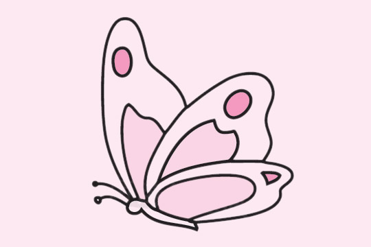 分享几张蝴蝶简笔画