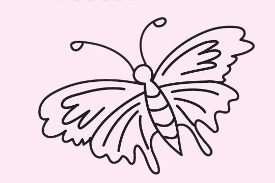 分享几张蝴蝶简笔画
