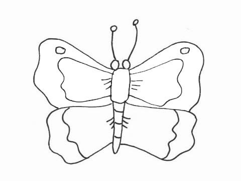 一组简单的蝴蝶儿童画