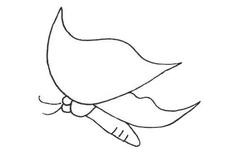 一组简单的蝴蝶儿童画