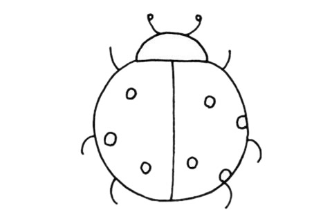 一组超简单瓢虫简笔画