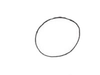 非常简单的大头蜻蜓简笔画(大绿头蜻蜓图片)