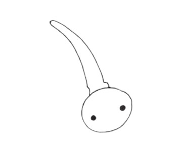 非常简单的大头蜻蜓简笔画 非常简单的大头蜻蜓简笔画