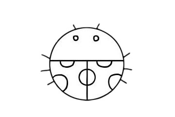 一组七星瓢虫儿童简笔画(七星瓢虫组合)