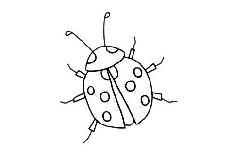 一组七星瓢虫儿童简笔画