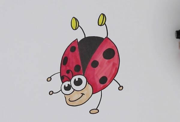 七星瓢虫简笔画教程 七星瓢虫简笔画教程