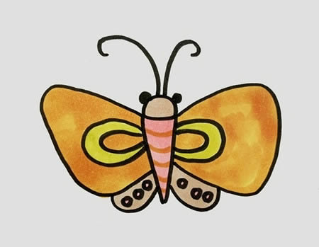 蚕蛾简笔画步骤 蚕蛾简笔画步骤