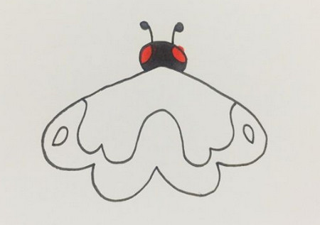 飞蛾的简笔画步骤