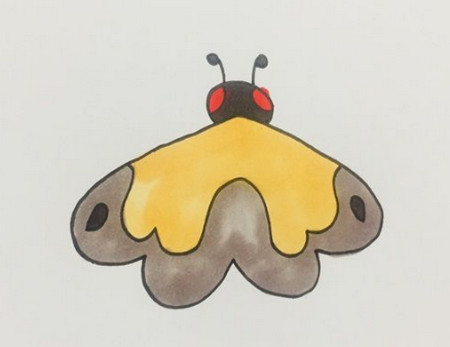 飞蛾的简笔画步骤