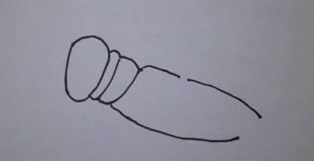 一步步教你画蝗虫