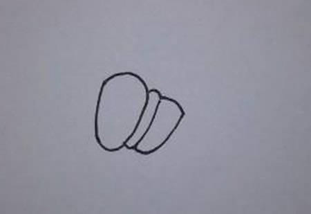 一步步教你画蝗虫